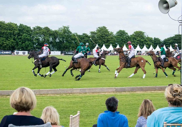 A day at the polo, June 2018
