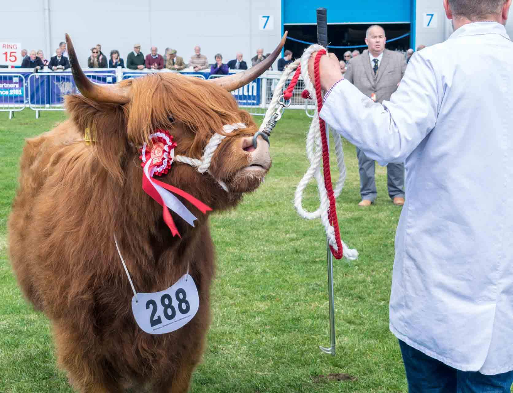 Royal Highland Show, Edinburgh, June 2018 we'REnotTIRED